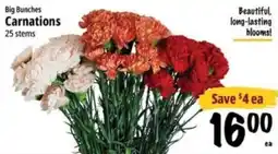 Farm Boy Big Bunches Carnations offer