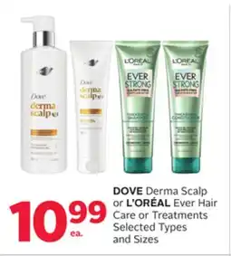 Rexall DOVE Derma Scalp or L'OREAL Ever Hair Care or Treatments offer