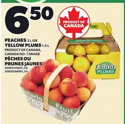 Independent City Market PEACHES, 3 L OR YELLOW PLUMS, 1.5 L offer