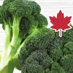 Foodland Broccoli Bunches offer
