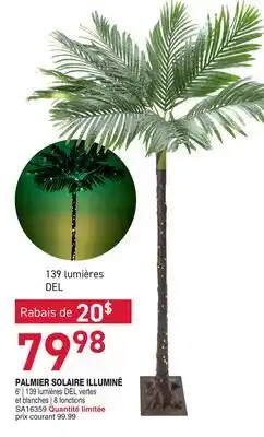Matério PALMIER SOLAIRE ILLUMINÉ offer