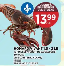 Kim Phat LIVE LOBSTER offer