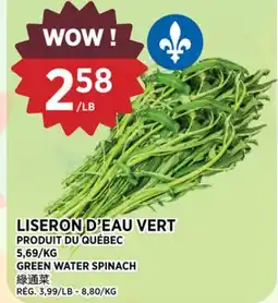 Kim Phat GREEN WATER SPINACH offer