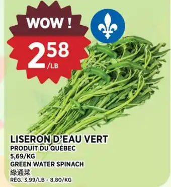 Kim Phat GREEN WATER SPINACH offer