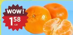 Kim Phat ORRI HONEY TANGERINE offer