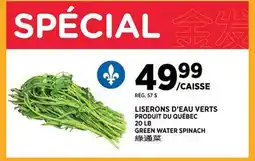 Kim Phat GREEN WATER SPINACH offer
