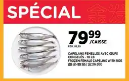 Kim Phat FROZEN FEMALE CAPELINS WITH ROE offer