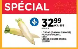 Kim Phat LOBOKS offer