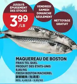 Kim Phat FRESH BOSTON MACKEREL offer