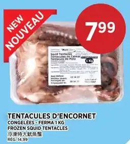Kim Phat FERMA FROZEN SQUID TENTACLES offer