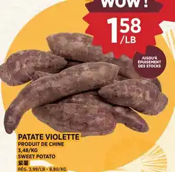 Kim Phat SWEET POTATO offer