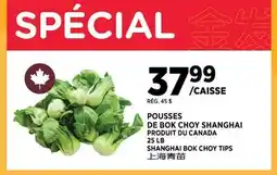 Kim Phat SHANGHAI BOK CHOY TIPS offer