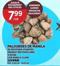 Kim Phat LIVE MANILA CLAMS offer