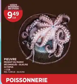 Kim Phat OCTOPUS offer