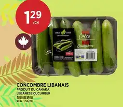 Kim Phat LEBANESE CUCUMBER offer