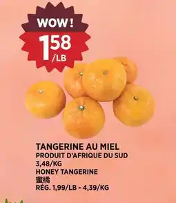 Kim Phat HONEY TANGERINE offer