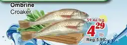 Marche C&T Ombrine Croaker offer