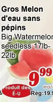 Marche C&T Big Watermelon seedless offer