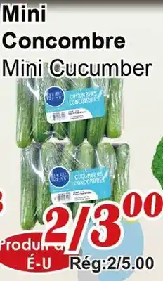 Marche C&T Mini Concombre offer