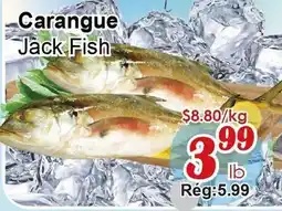 Marche C&T Carangue Jack Fish offer