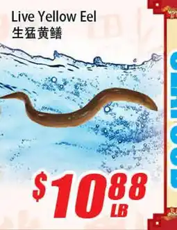 WinCo Food Mart Live Yellow Eel offer