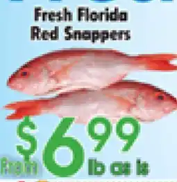 Danforth Food Market Fresh Florida Red Snappers offer