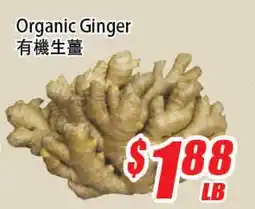 WinCo Food Mart Organic Ginger offer