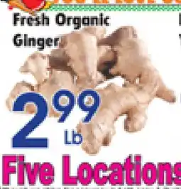 Danforth Food Market Fresh Organic Ginger offer