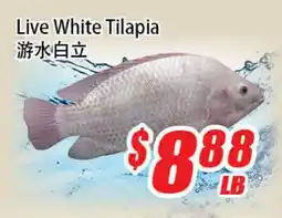 WinCo Food Mart Live White Tilapia offer