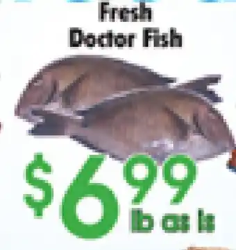 Danforth Food Market Fresh Doctor Fish offer