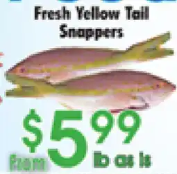 Danforth Food Market Fresh Yellow Tail Snappers offer