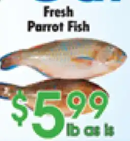 Danforth Food Market Fresh Parrot Fish offer