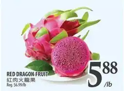 Al Premium Food Mart RED DRAGON FRUIT offer