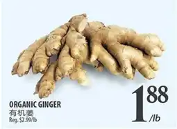 Al Premium Food Mart ORGANIC GINGER offer