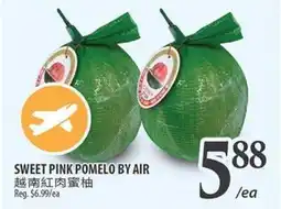 Al Premium Food Mart SWEET PINK POMELO BY AIR offer