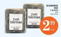 Al Premium Food Mart BLUEBERRIES PINT offer