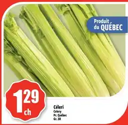 Bonanza Céleri offer