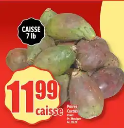 Bonanza Pears Cactus offer