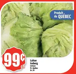 Bonanza Laitue Iceberg offer