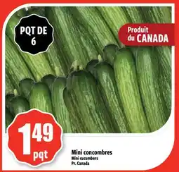 Bonanza Mini concombres offer
