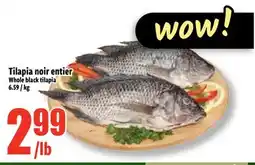 Bonanza Tilapia noir entier offer