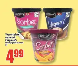 Bonanza Yogourt glaceé ou sorbet Chapman's offer