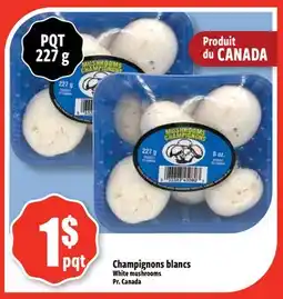 Bonanza Champignons blancs offer