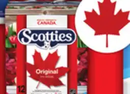 Food Basics CASHMERE BATHROOM TISSUE SPONGE TOWELS ULTRA PAPER TOWELS OR SCOTTIES FACIAL TISSUE offer