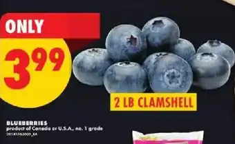 Blueberries