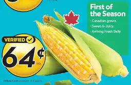 Safeway Yellow Corn offer