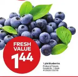 Giant Tiger Blueberries offer