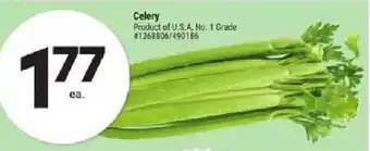Giant Tiger Celery offer