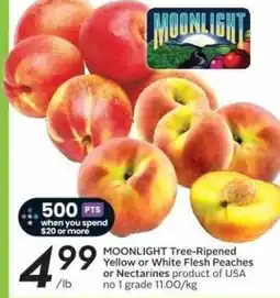 Sobeys MOONLIGHT Tree-Ripened Yellow or White Flesh Peaches or Nectarines offer