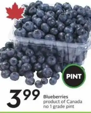 Sobeys Blueberries offer
